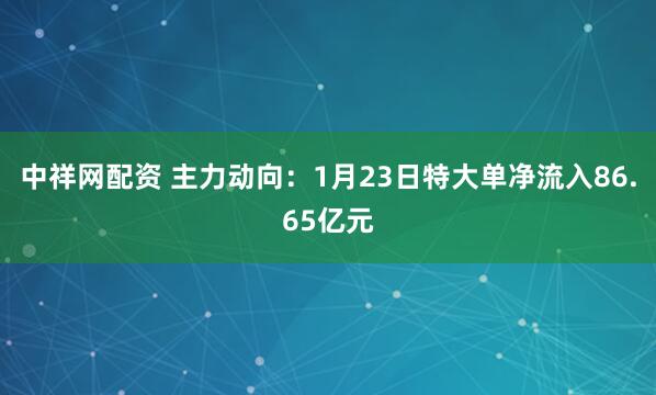 中祥网配资 主力动向：1月23日特大单净流入86.65亿元